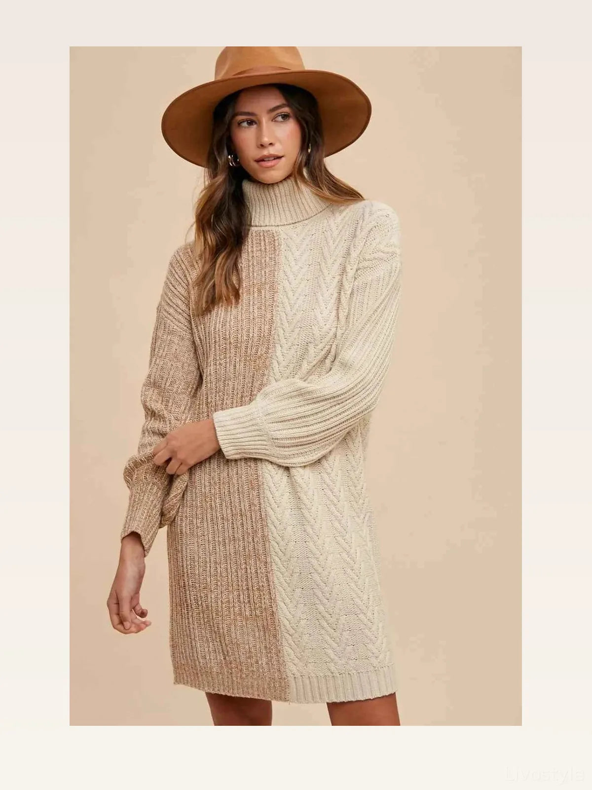 Color Block Turtleneck Sweater Dress